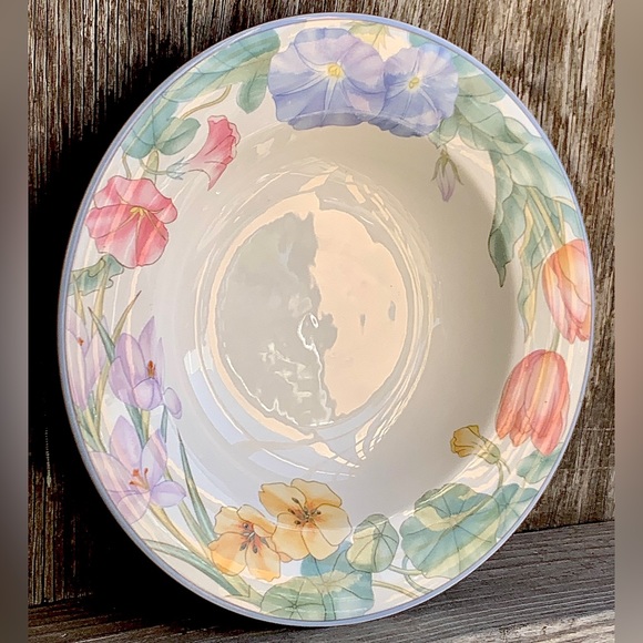 Vintage Discontinued MIKASA Optima SPRING LEGACY Rimmed Soup Bowl Replacement - Picture 6 of 13